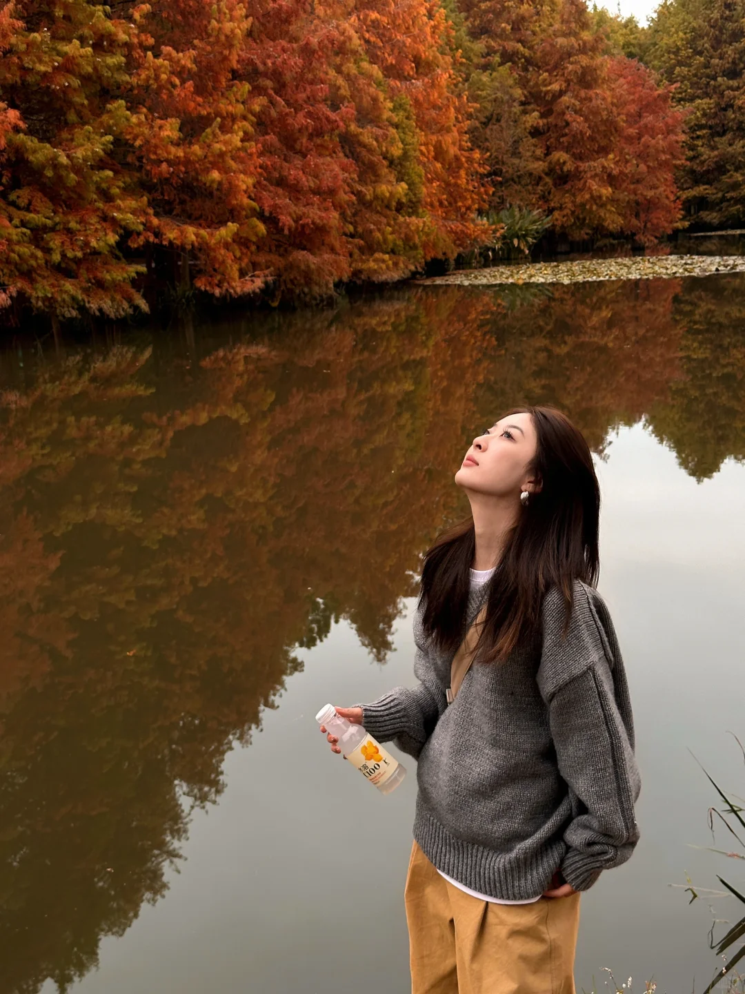 深秋已过冬将至🍂