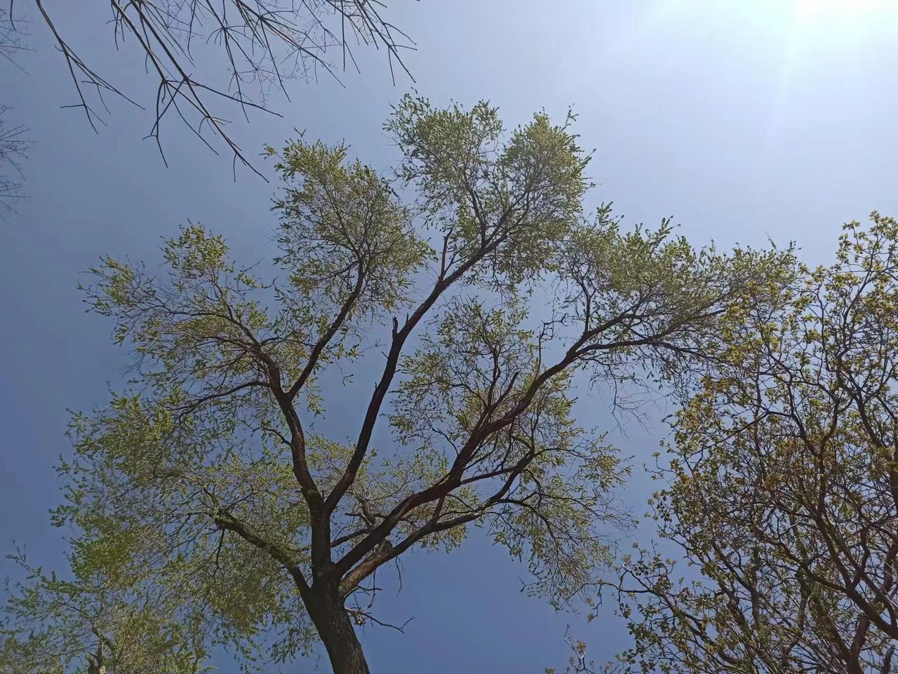 为啥“道理”在现实困境毫无用处？

你看书的时候，听课的时候，听别人所讲觉得很有
