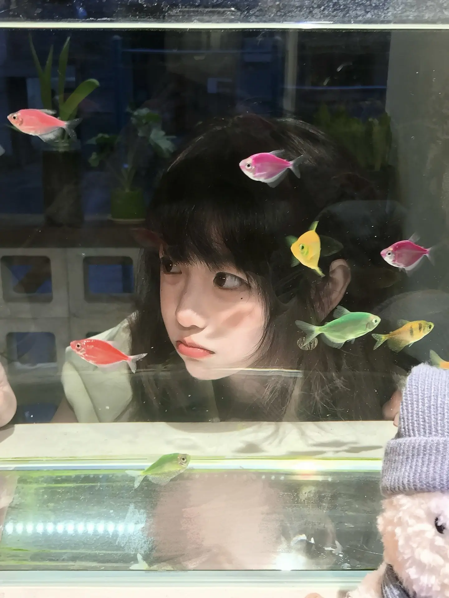小鱼小鱼快快游