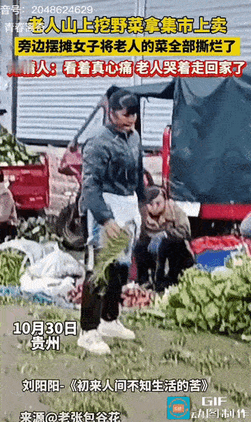 苦命人何苦为难苦命人？贵州，一位老人在山上挖了野菜拿到集市上卖，被旁边摆摊的女子