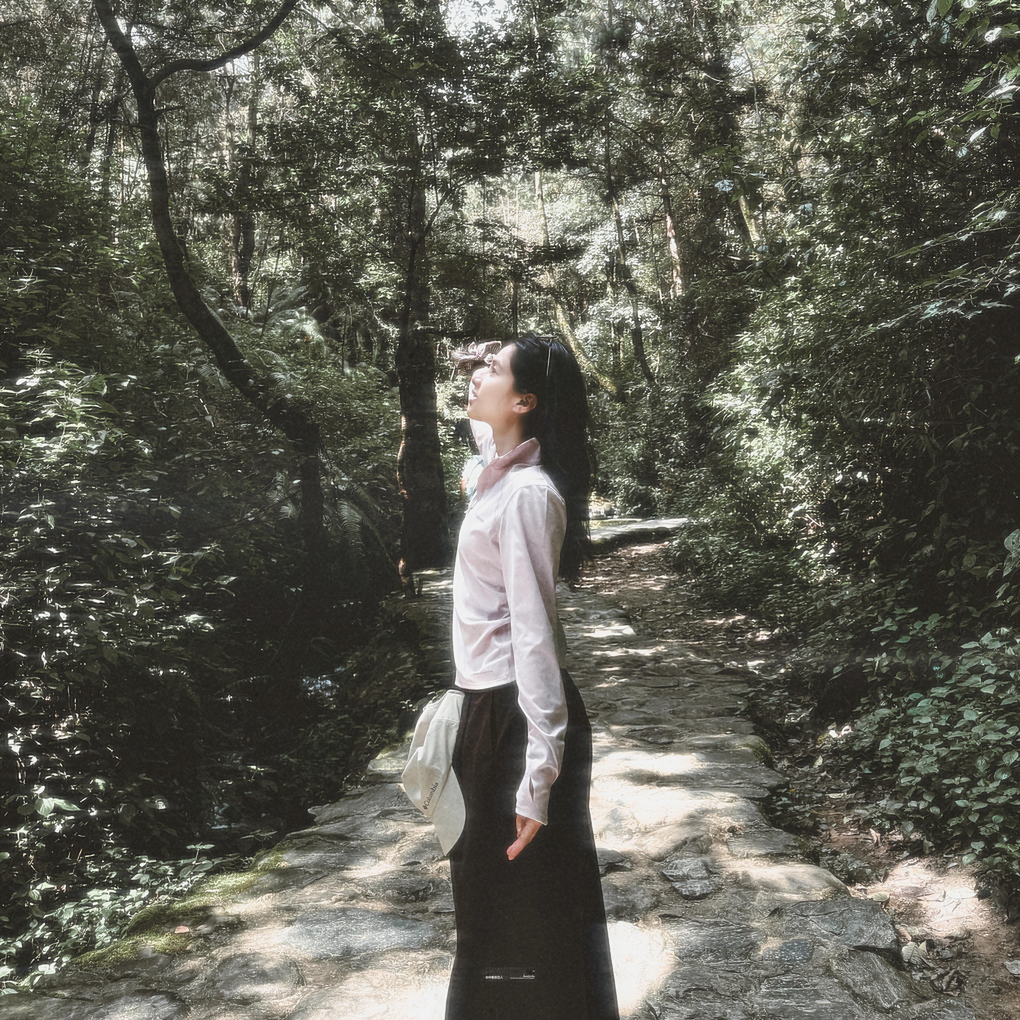 山林有风张婧仪.- ​​​