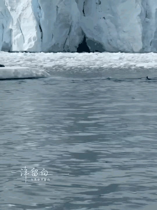 哦吼，差点就羊入虎口了