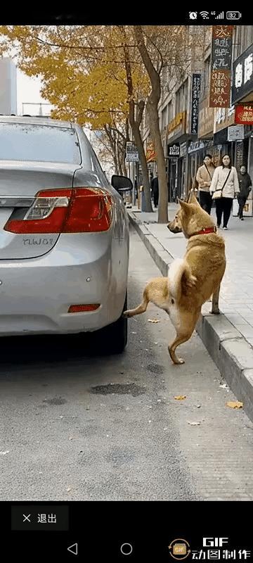 太不讲武德了，还没站稳就走了？！