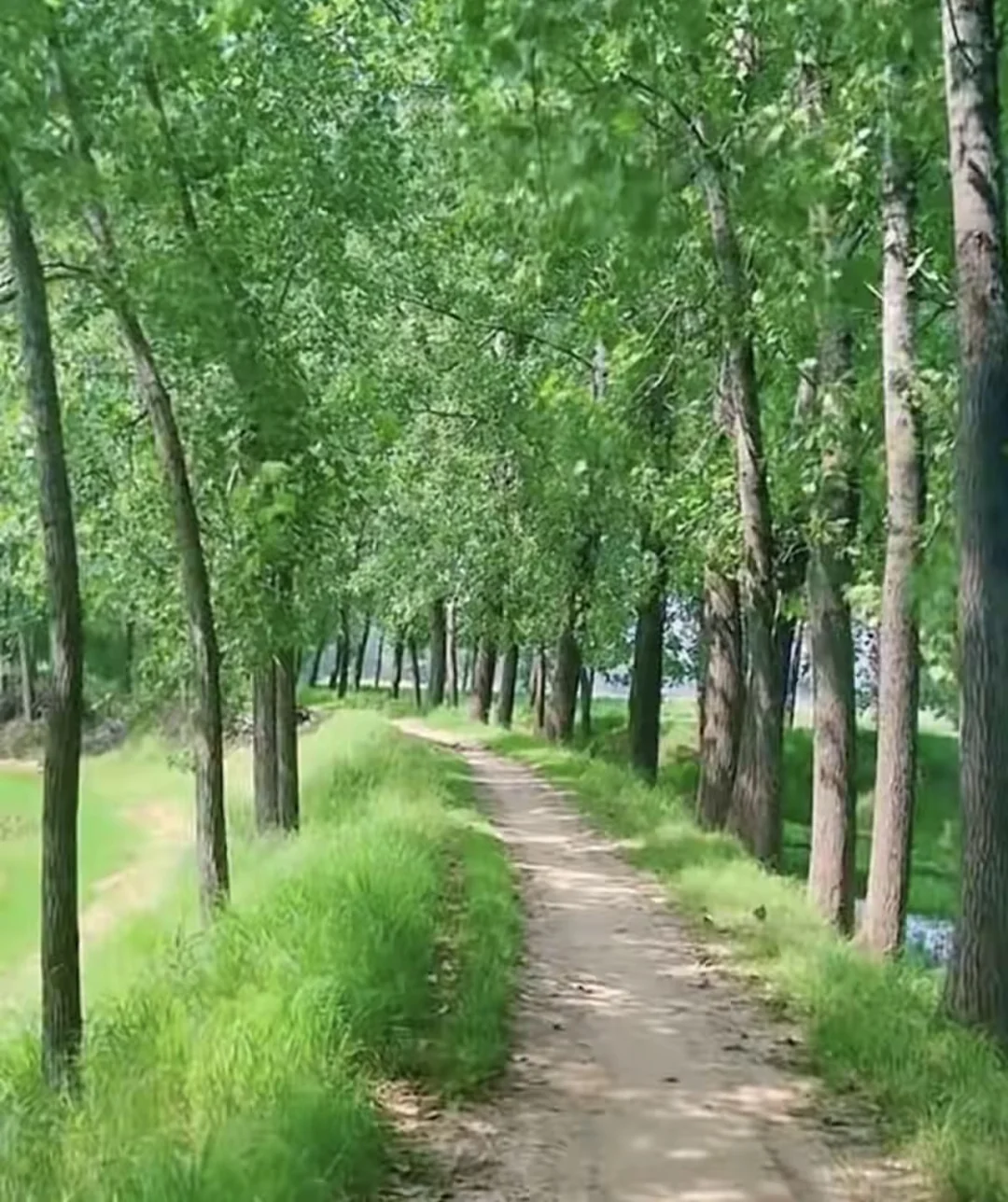 人一生的时间非常有限，我始终认为只有两件事值得我们充分投入时间，一件相...