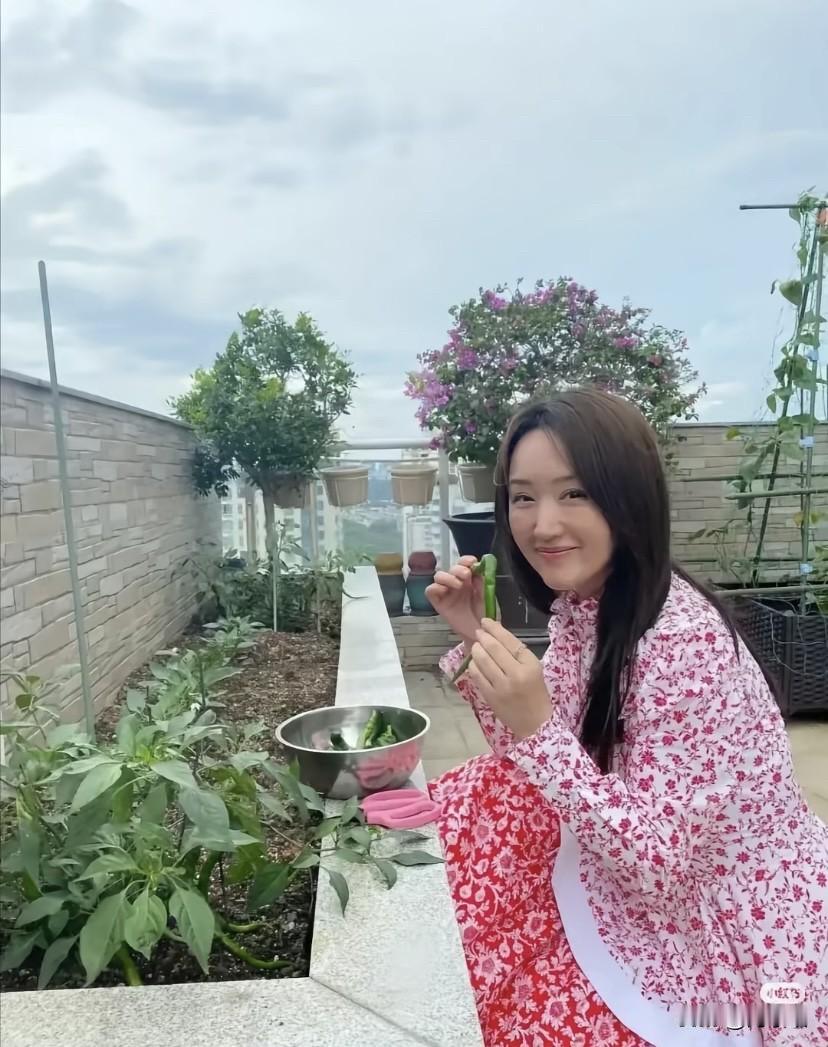 外卖员会消失吗不扒不知道，原来选择八种菜当成休闲的明星这么多，他们有的是自己种，