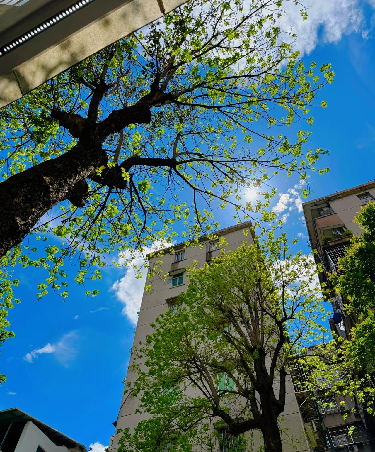 人需要不断地表达 ，才能进化。人一定要大量频繁地记录自己，表达自己，这真的是我们