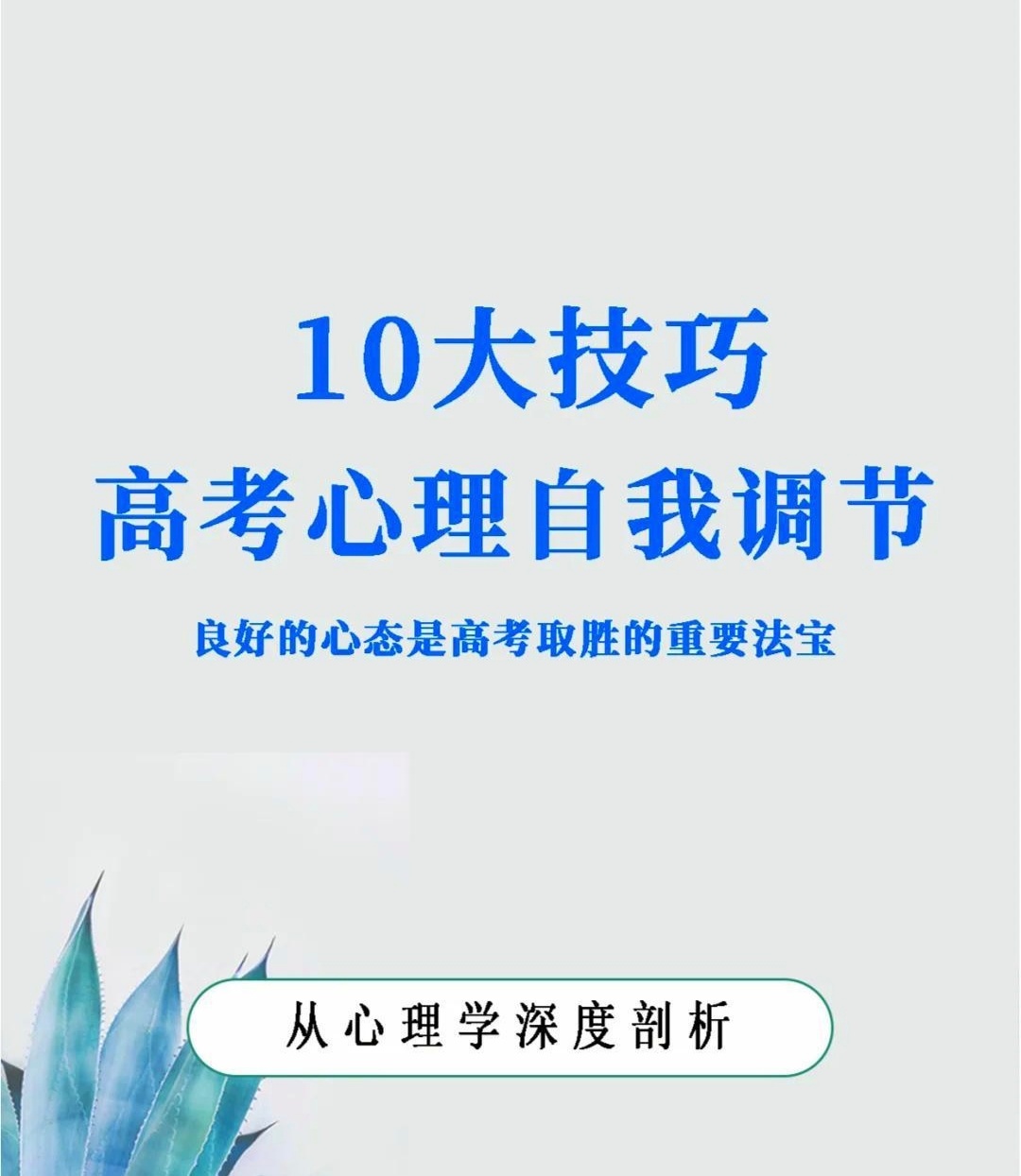 外卖小哥说高考生有需要可随时拦停我 外卖小哥真的很不错，每年高考期间，考生们都会