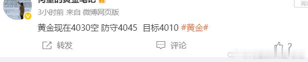黄金 4030附近 空单提前止盈离场，规避行情反复震荡带来的浮盈回吐风险。本次不