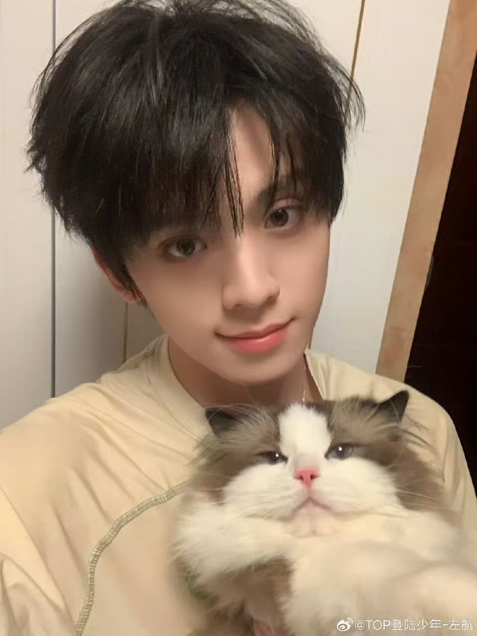 左航带着厚米跟大家打个招呼 左航带厚米来跟大家打个招呼 两个可爱的小家伙 