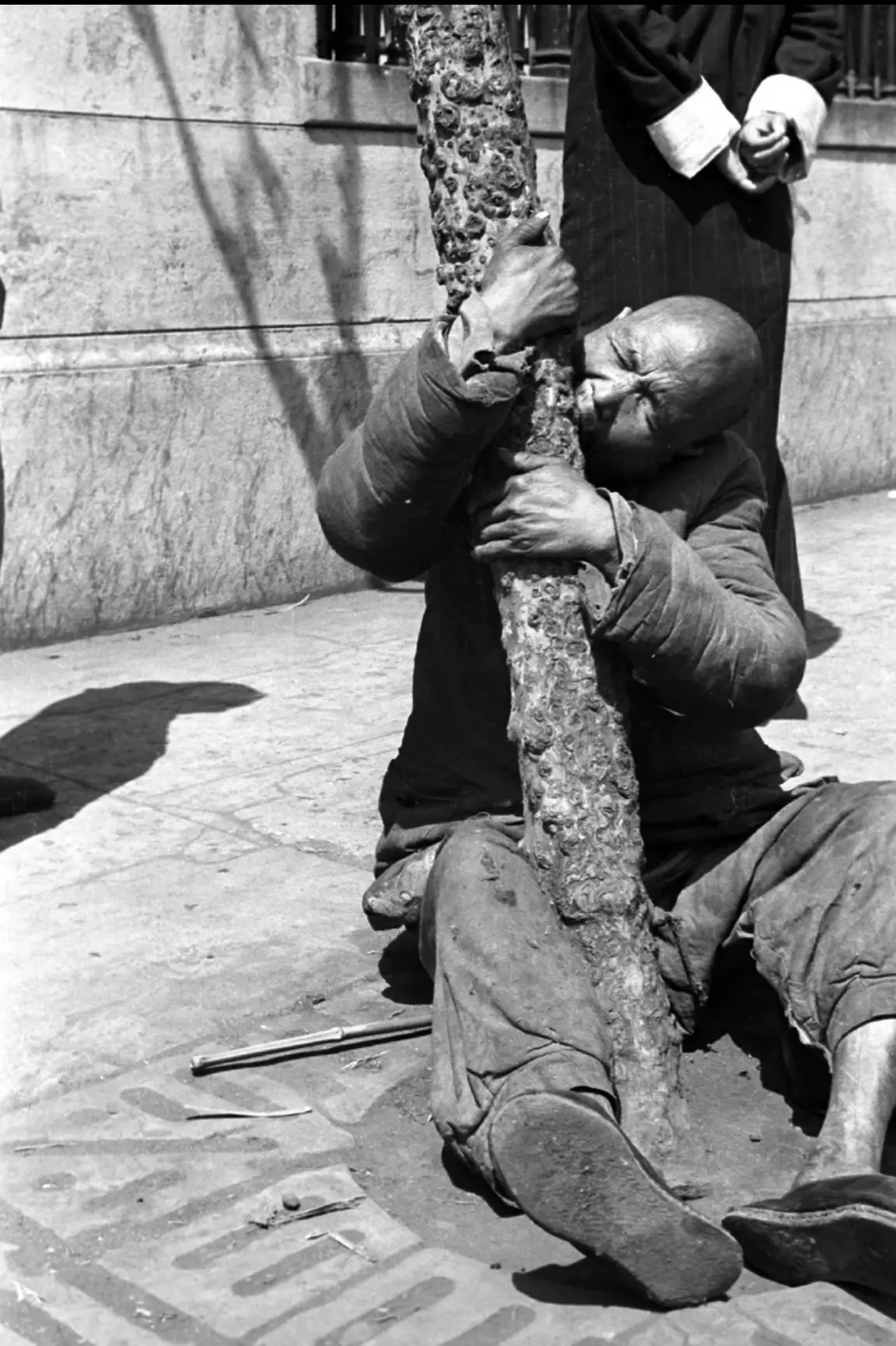 此系列照片真实记录了1942年的那场大饥。七七事变之后，华北沦陷，河南...