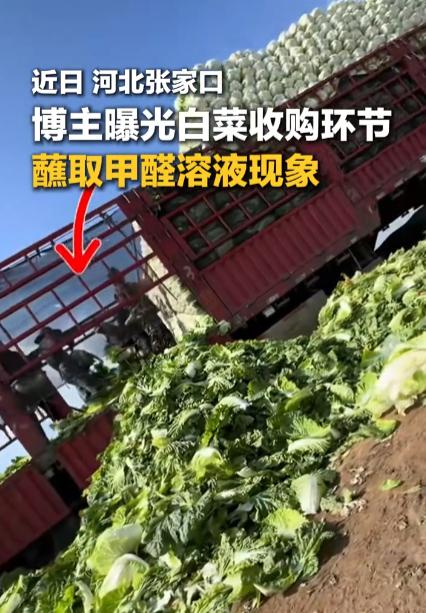 半瓶甲醛3.5元，一车白菜少烂30%，违法成本远低于守法成本，市场在奖励黑心收购