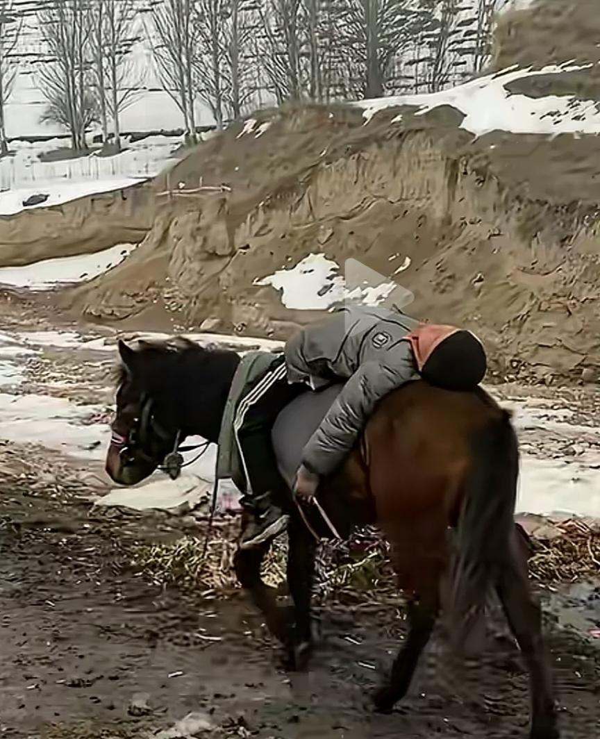 这画面看着真舒服。
新疆，一个小孩骑着马累了，于是躺在马背上休息。马儿驮着小孩，