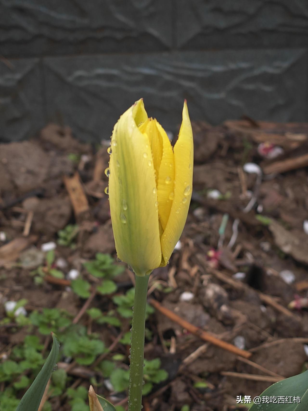 女人是需要男人滋润的，越滋润，越年轻，越
这里说的不是情爱，而是情绪安稳、被心疼