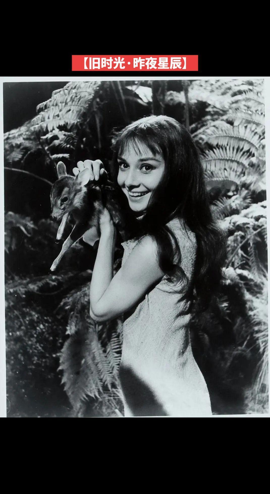 【旧时光·昨夜星辰】1959年，在加利福尼亚州卡尔弗城的米高梅电影摄影棚拍摄电影