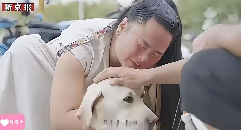 导盲犬芬迪终于被接走了！！
奇怪的是，王女士和芬迪明明相处了两年。但分别的时候，