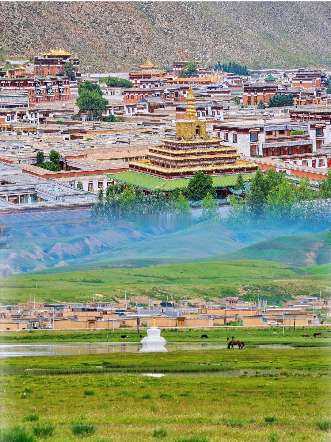 #你会选爸妈做旅游搭子吗##跟着榜单去旅行#这个炎热的夏天，带父母去甘南避暑吧！