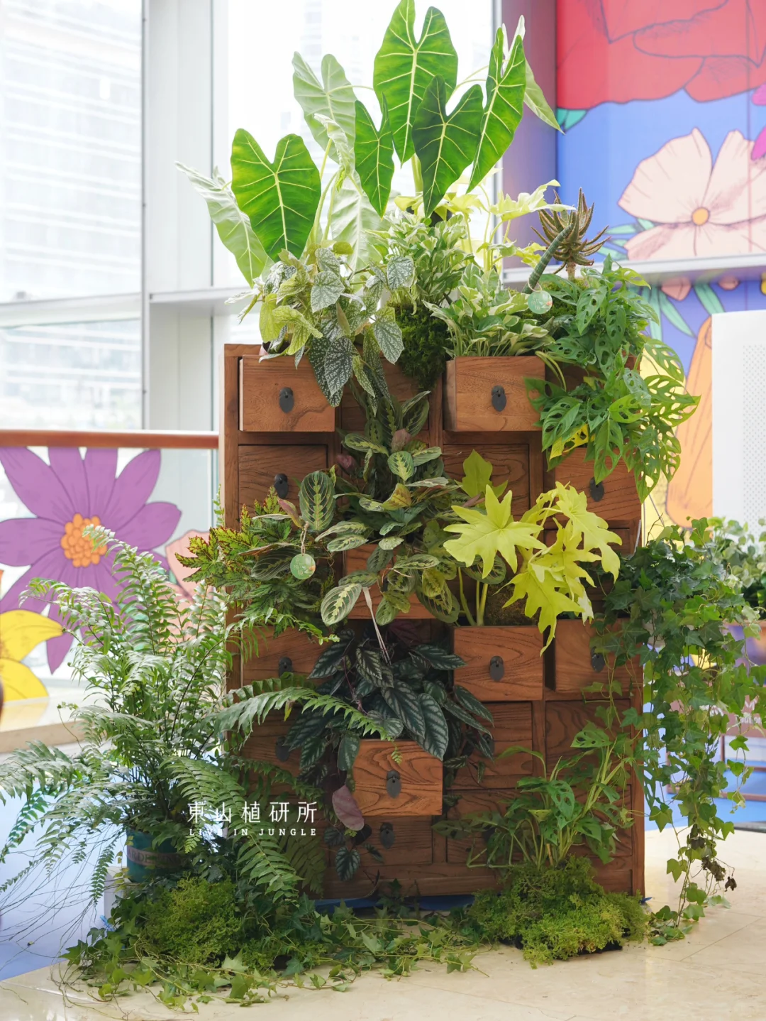 绿植造景｜太古汇弗里达展🪴热植百宝柜