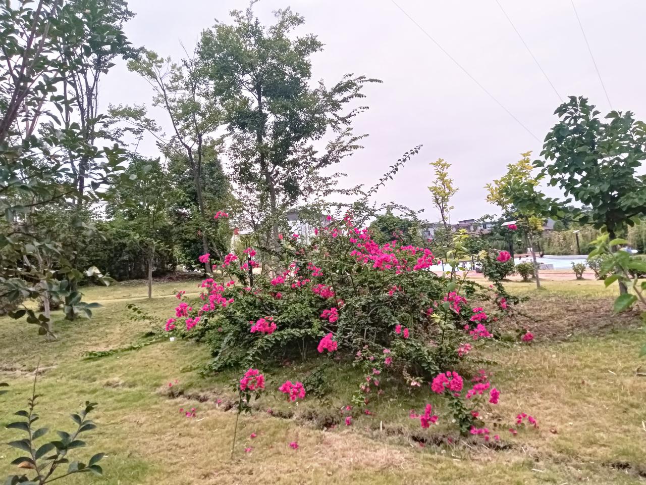 何为少年   肆意坦荡   无忧
何为暮年  静心   养花品茶
何为浮生   