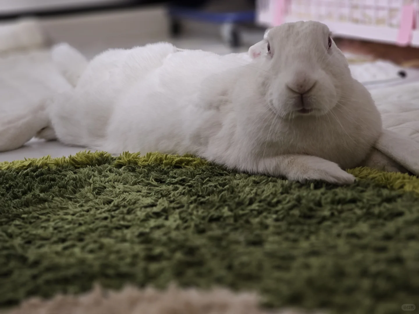 这个世界还会好吗？