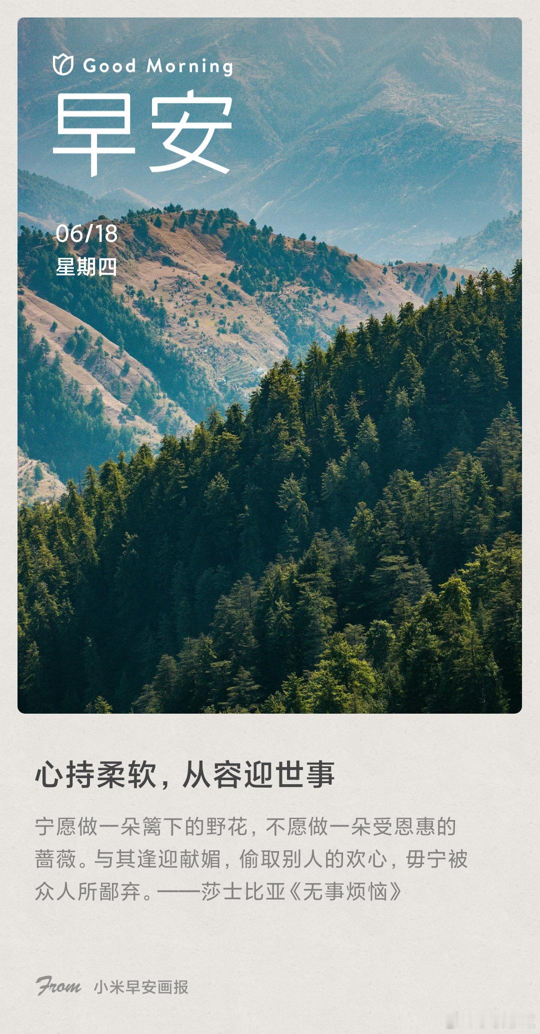 小米画报 心持柔软，从容迎世事： 宁愿做一朵篱下的野花，不愿做一朵受恩惠的蔷薇。
