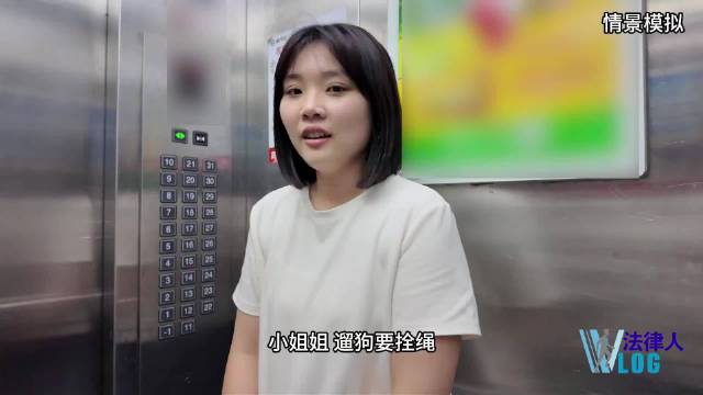 #检小莱普法##金毛两次假装有主人被识破#   敲黑板！#养犬人的修炼手册#】遛狗不拴绳、将狗随意丢