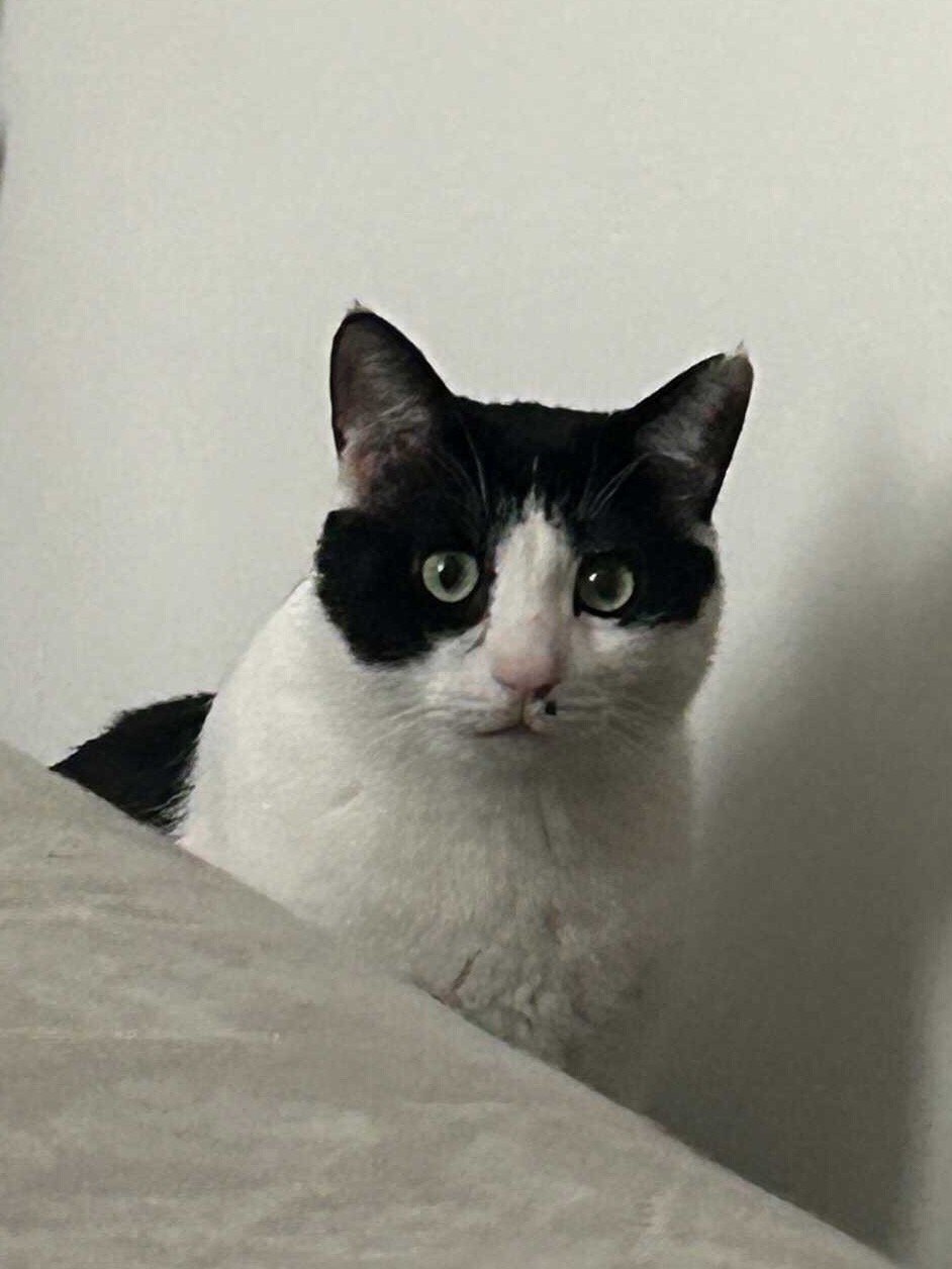 我觉得您还是得工作，因为我已经过不了外面的生活了。daily奶牛猫 （投稿：） 