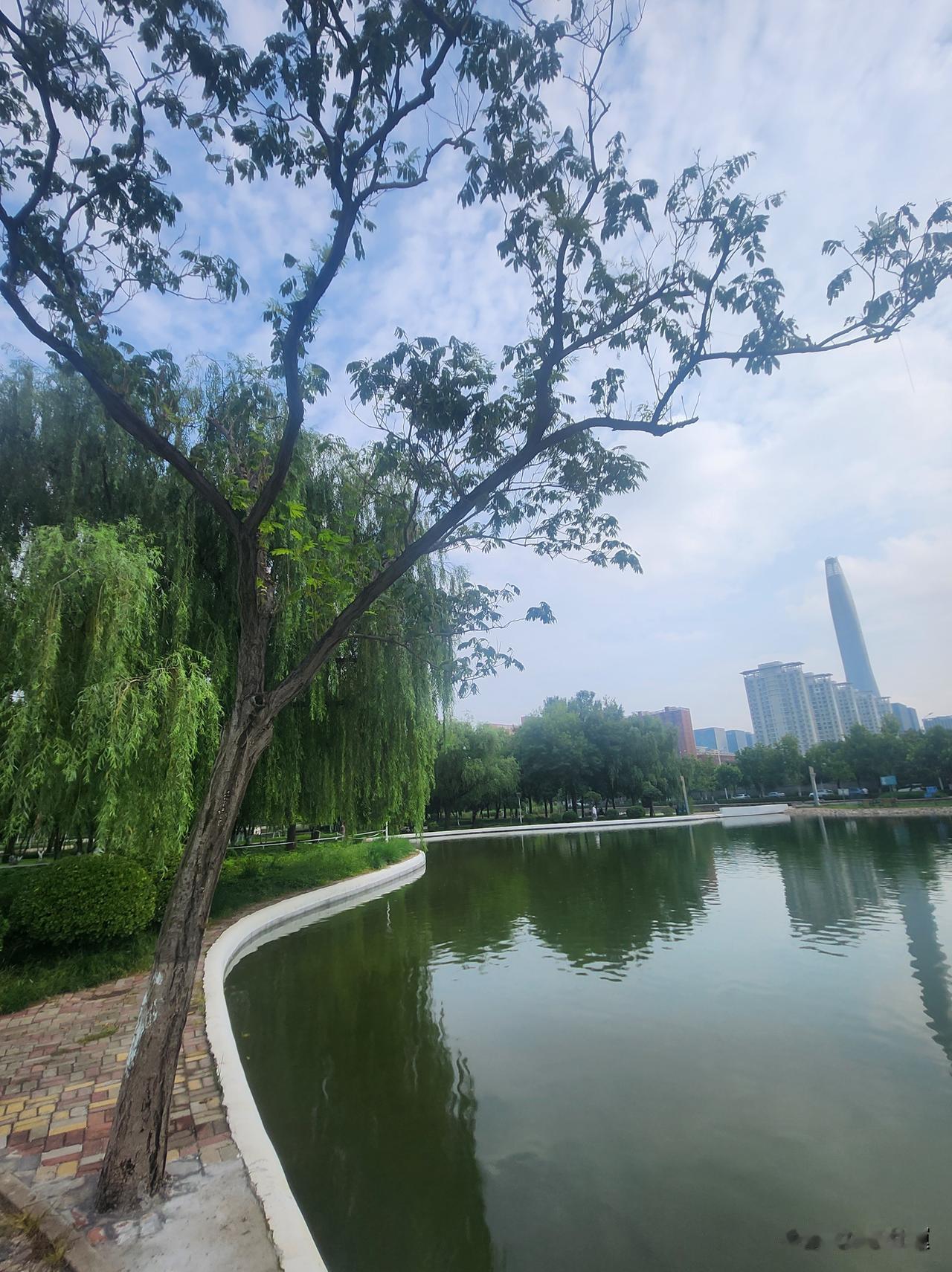 早餐给自己煎了个金黄的鸡蛋，烤了片松软的面包，再配上一杯香浓的咖啡，坐在窗边慢慢