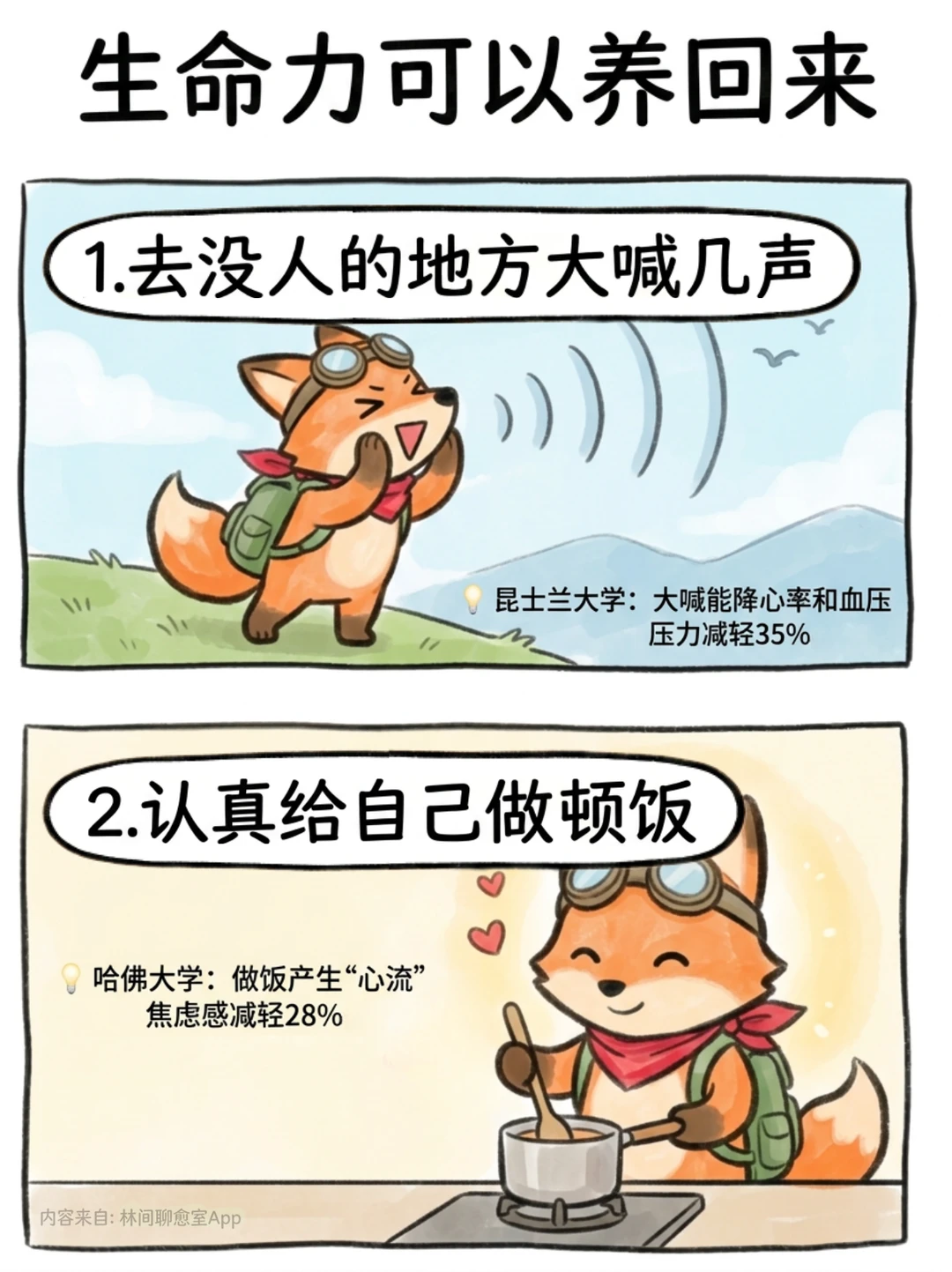 人的生命力是可以养回来的‼️