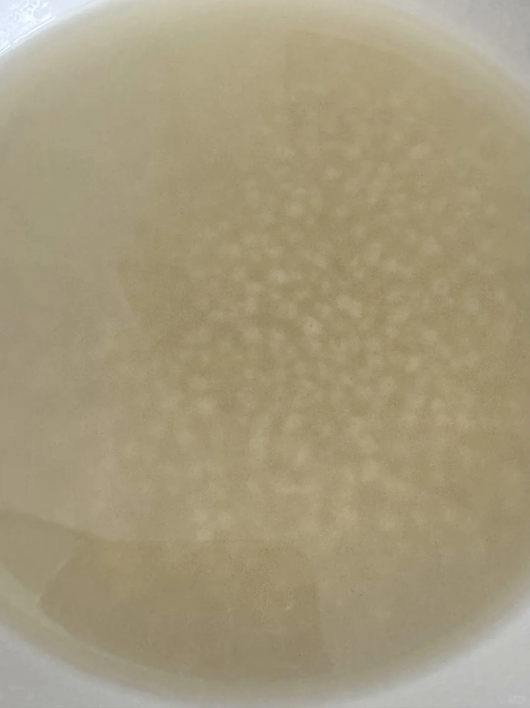 吃完又吃第2346天鸡腿