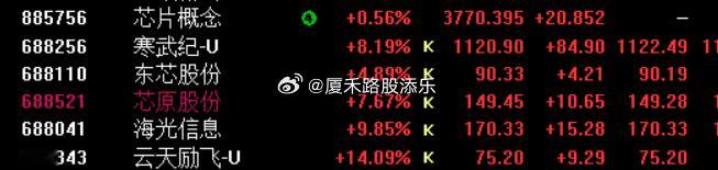 跟DS新板块发布密切相关的国产芯片前排都大涨~！ ​​​