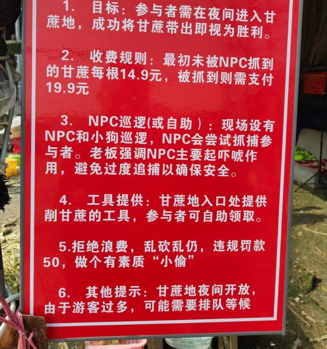 网红风终于吹到了四川，只是画风有点意外和偶然。淄博烧烤、天水麻辣烫、景德镇鸡排，