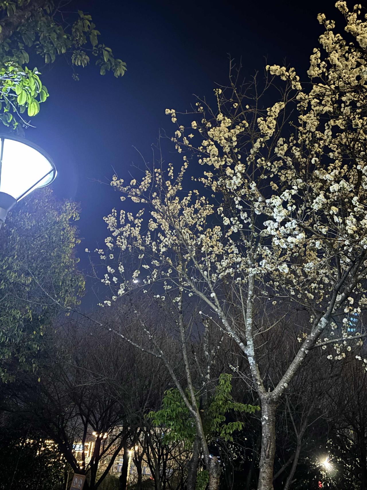 又是一个周一了，上班上班，什么时候才是个头啊
钱钱没挣到，家家顾不好
孩子的陪伴