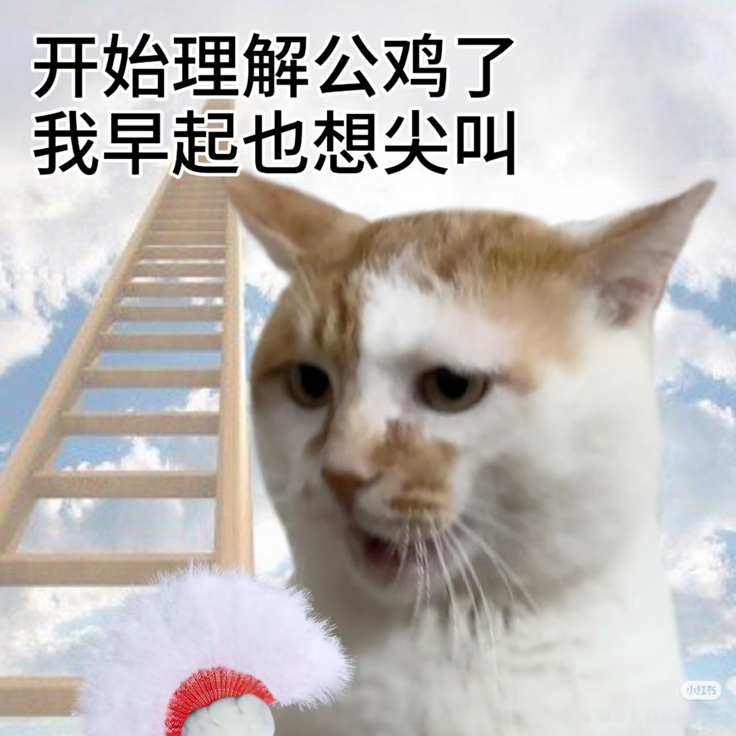 做梦梦到上班迟到了，一觉睡醒真的迟到了