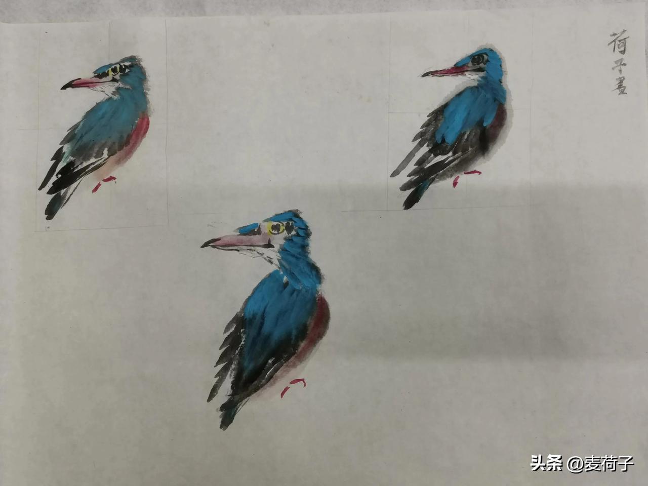 这学期学萧朗的禽鸟图，较之前吴昌硕、任伯年等画家的花草大写意不同，追求动物造型的