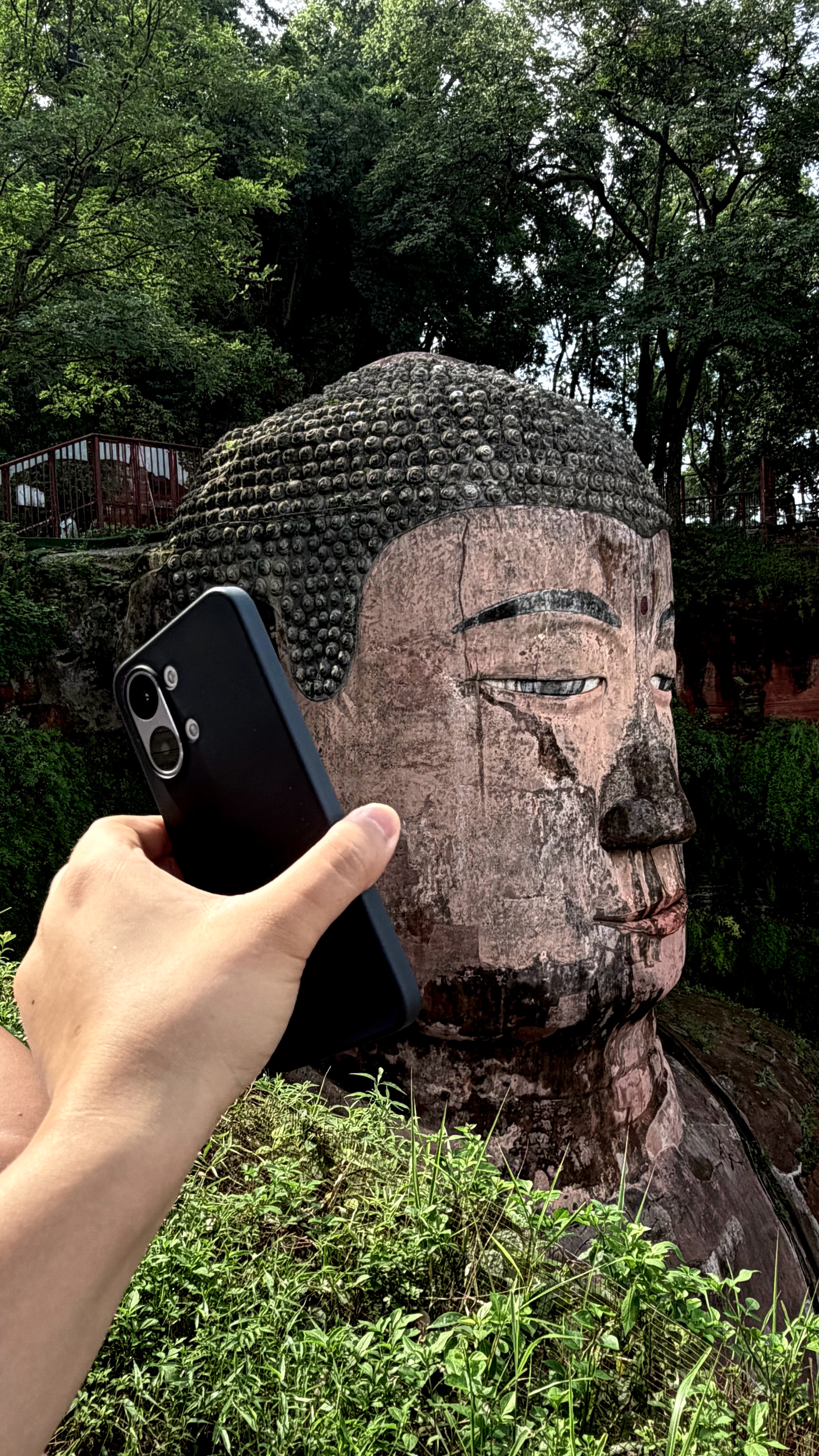 早上七点出门 晚上七点回酒店一日速通乐山 累死我了 乐山