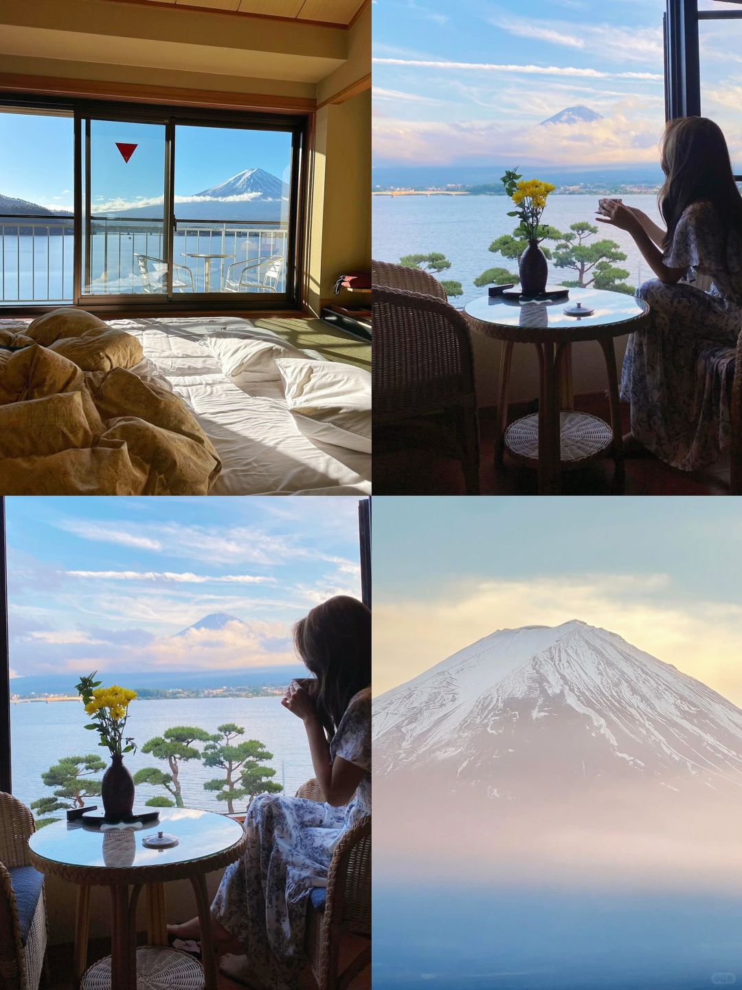 🗻富士山河口湖必住酒店合集🏨
