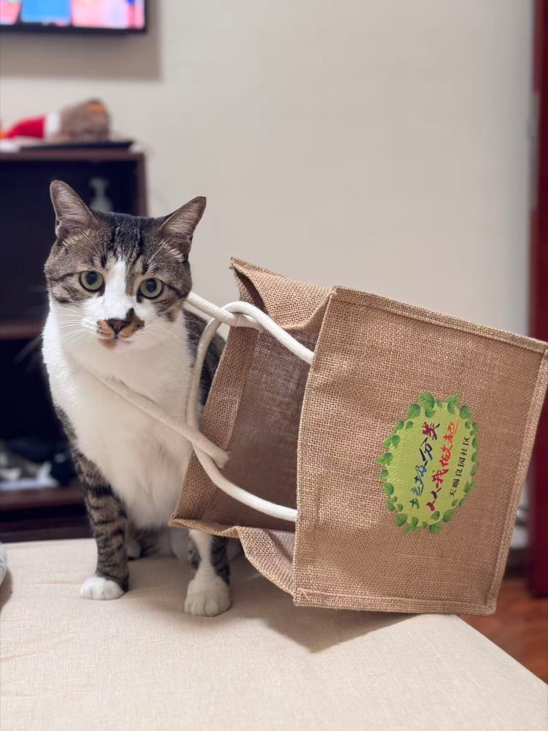 签到签到签到签到今天有帅帅的老公照片视频，真不错           