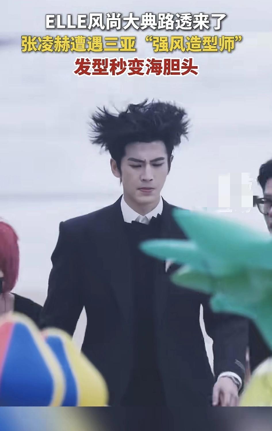 哈哈哈哈哈，帅不过1秒，张凌赫表演了：贵公子被海风吹成炸毛海胆头[大笑]。今年E