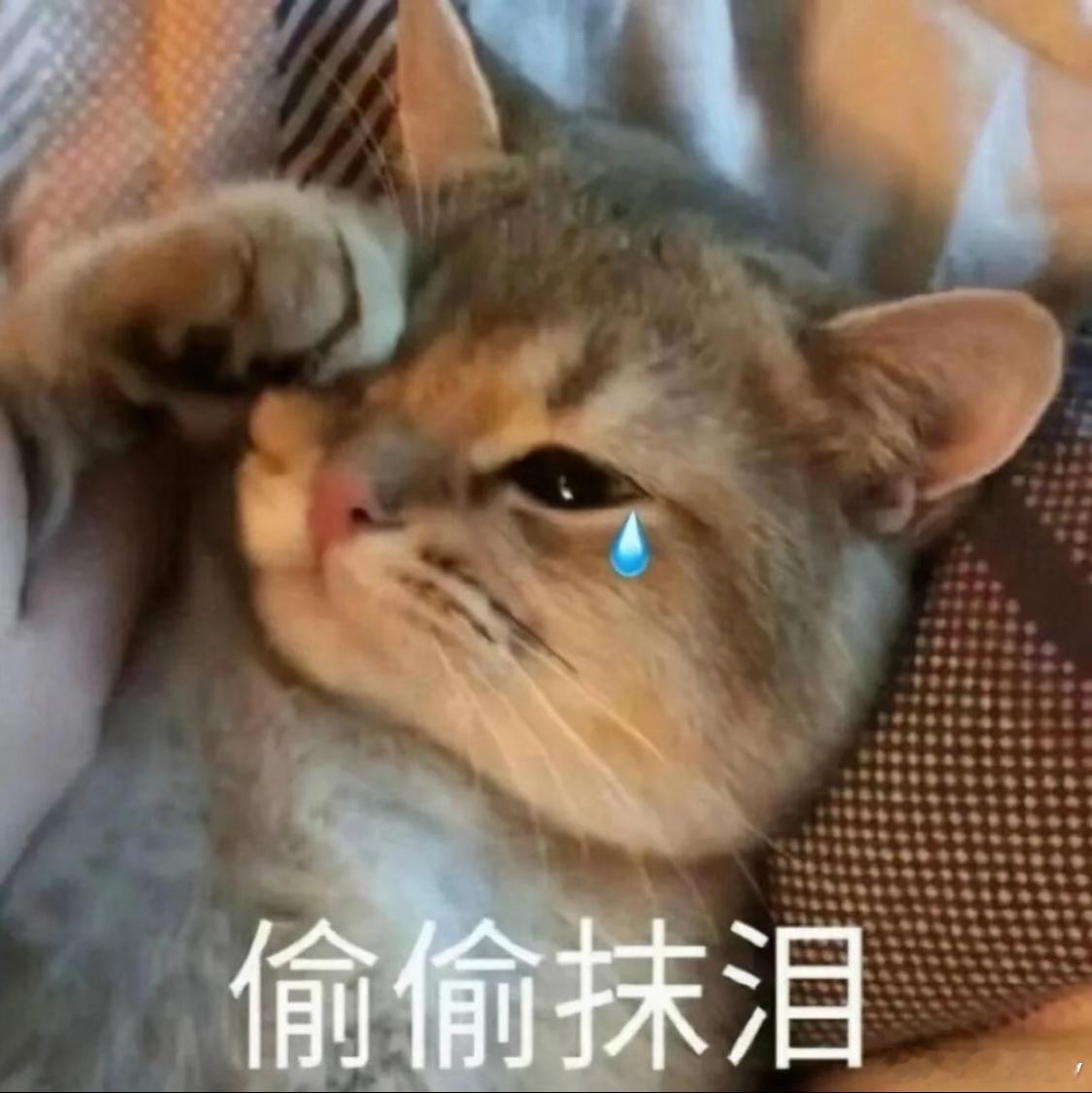 今天帮我弟租了房子，感觉现在的年轻人压力之大，到手6千多的工资，房租成本就要25