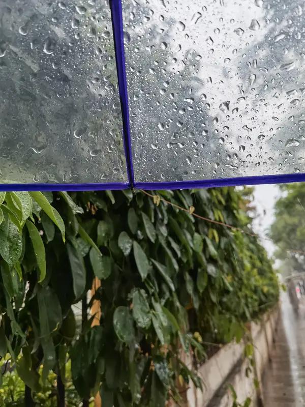 下联：雨来雨歇雨薄情
解析：
由景物延展至人情，“缘聚缘散”对“雨来雨歇”，以风