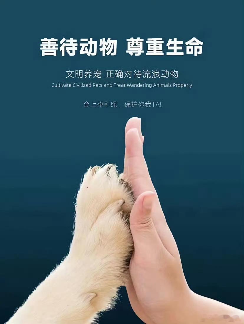 重庆山姆打包哥伪装领养虐杀动物 为了悟空，为了papi，为了小熊和福宝，为了那只