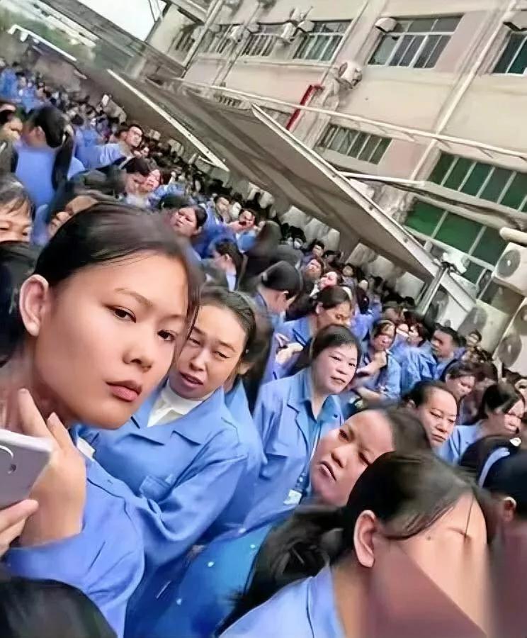 “越南抢单？别怕。”

“老板先怂了。”

——他把你从12小时两班倒‘升级’成