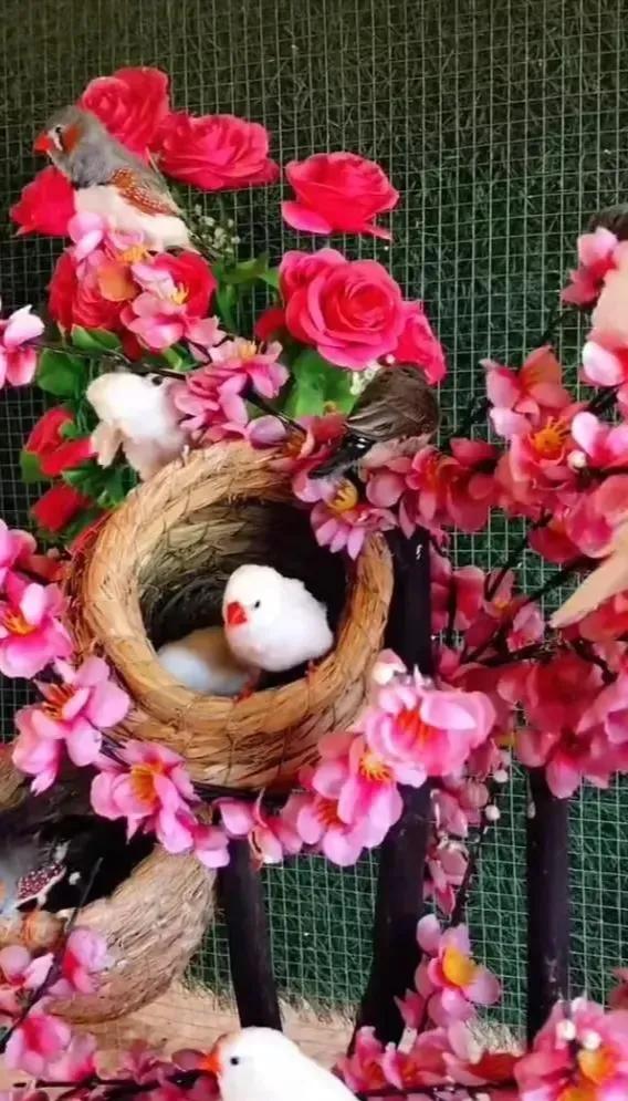 晒图笔记大赛和网友韵<古风>