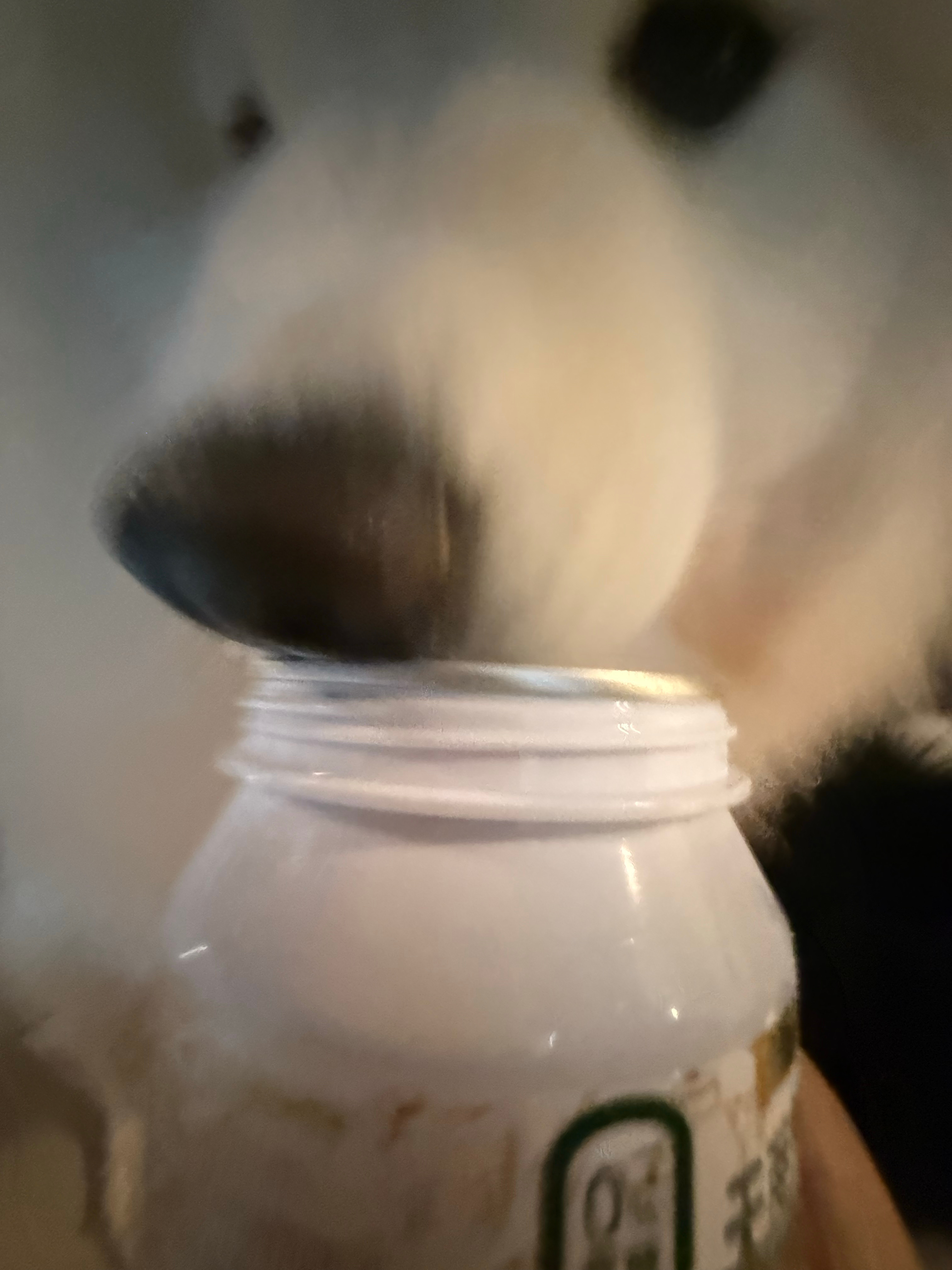 挣点栓奶吃吃！ 