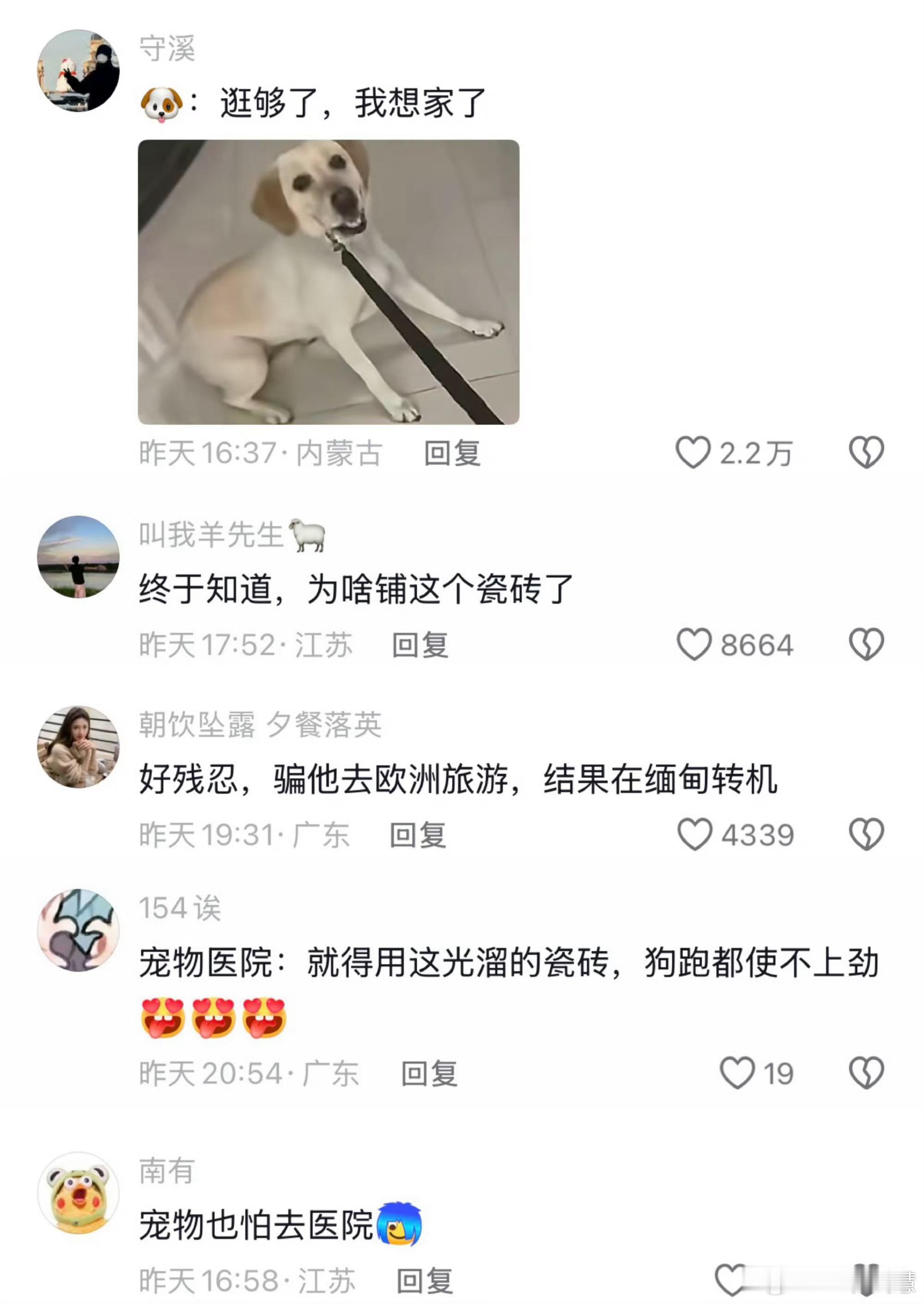 终于知道宠物医院为啥铺瓷砖了原来宠物医院铺瓷砖是为了让狗跑的时候使不上劲，哈哈哈