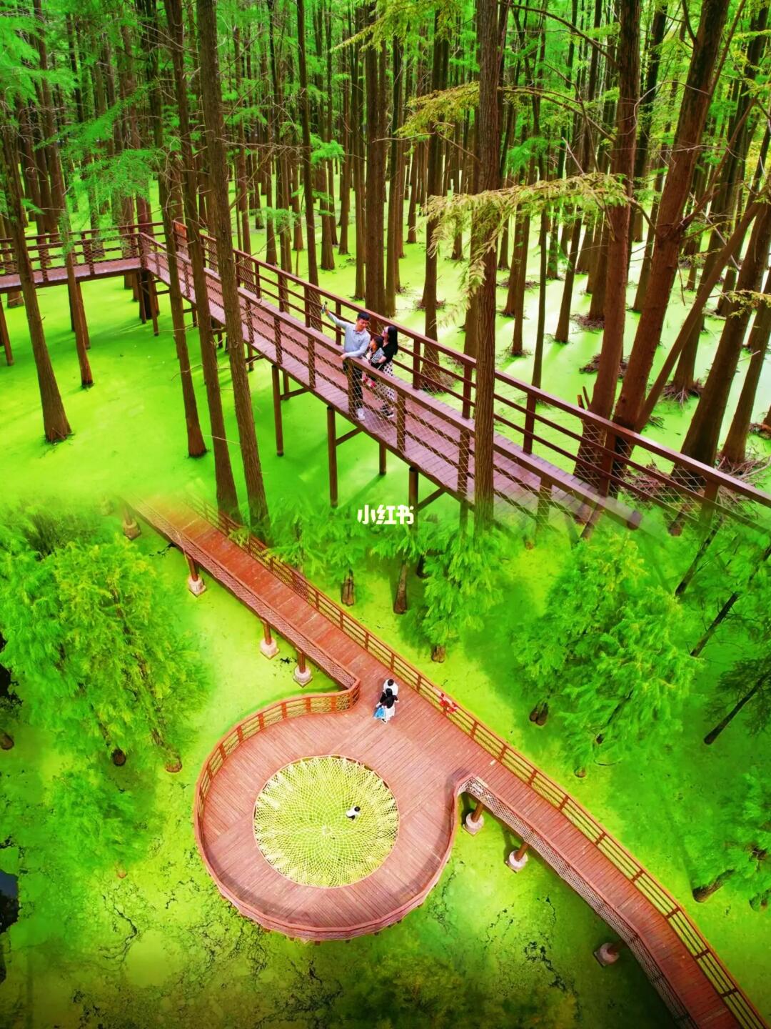 别问了！真的在杭州/闯入现实版绿野仙踪