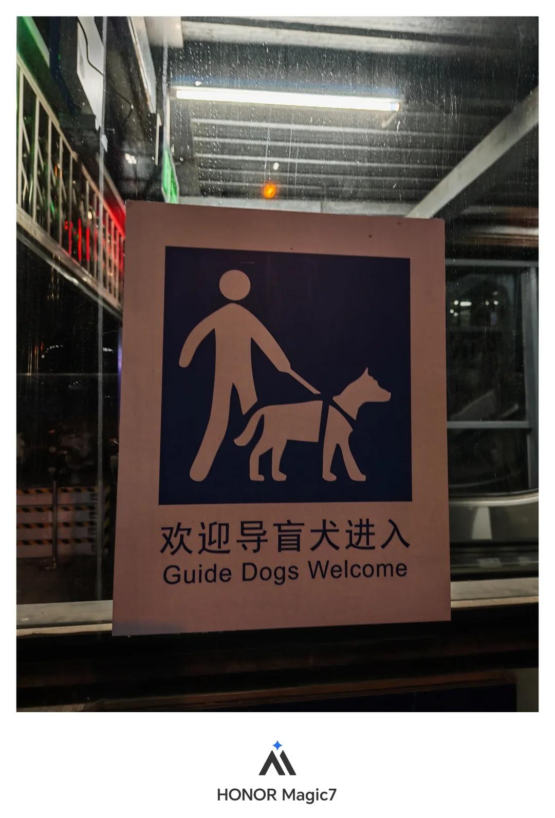 在进步！
从开始的申请进入，到允许进入，再到欢迎进入！这是一个质的飞跃！导盲犬