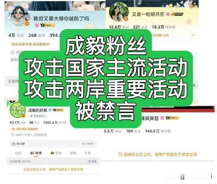 小飞侠忙着看巨星肖战的舞台，🐔🐔嘴们忙着造谣被封禁，大家都有美好的未来，追星