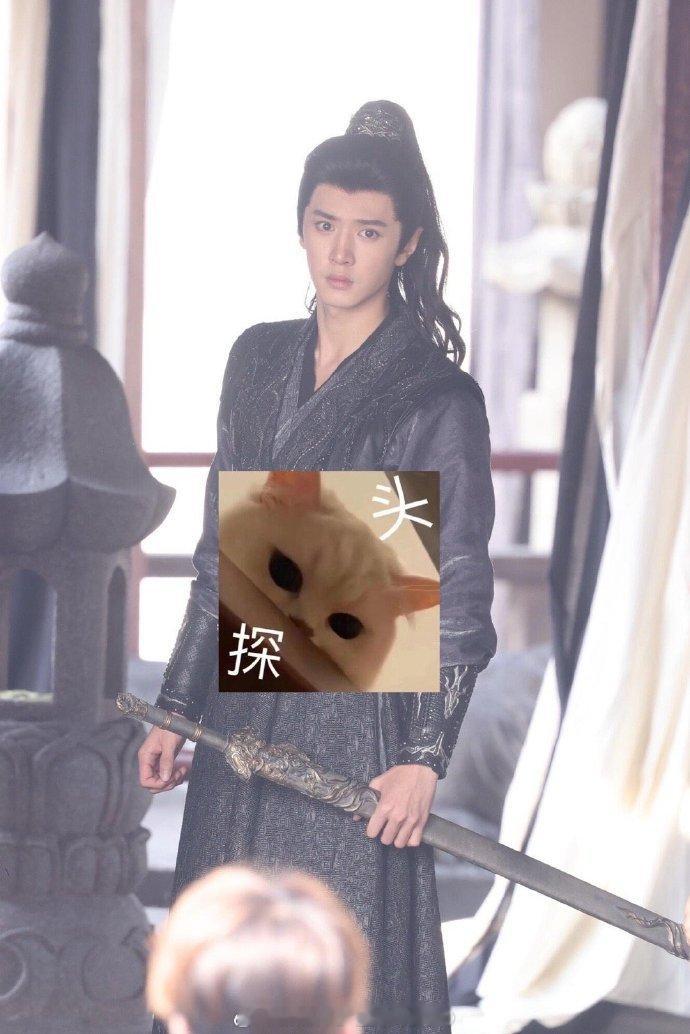 陈哲远黑衣执剑  《梦花廷》陈哲远黑衣执剑简直不要太梦幻，而且是散发剧情感的那种