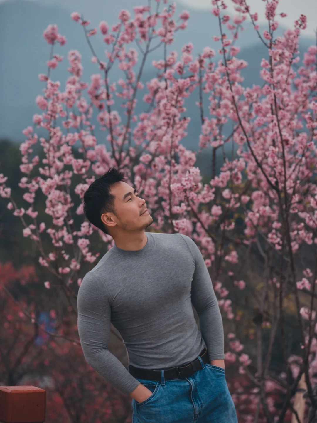 在韶关按下快门，每个像素都跳动着春日的DNA